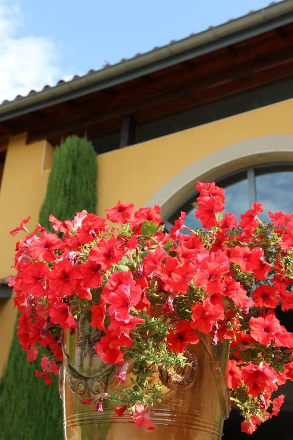 Le Vallon De Saint Andre Limonest Exterior photo